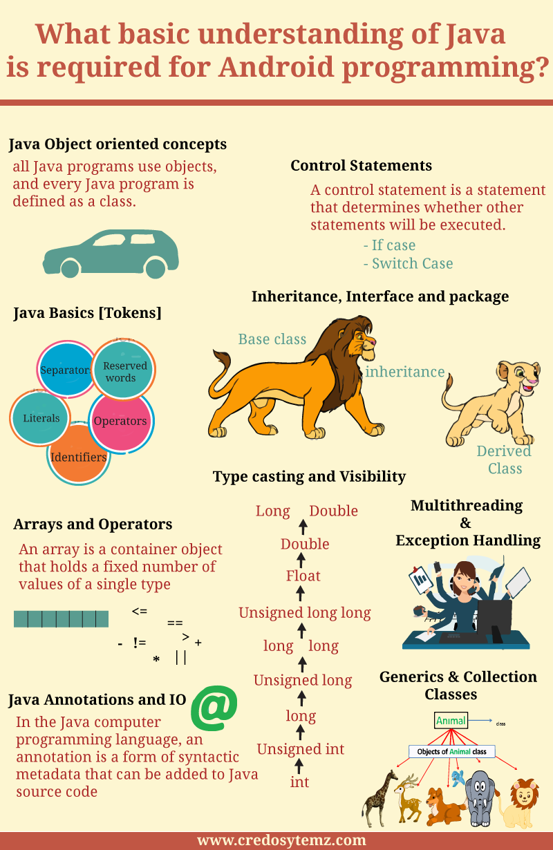 Java Infographics